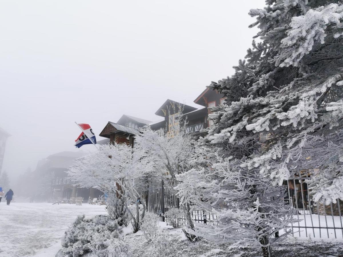 Gorgeous House For Ski Retreat Or Mountain Vacations 斯诺肖 外观 照片